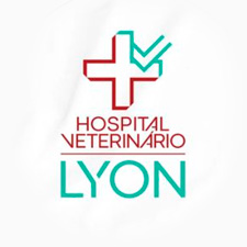>HOSPITAL LYON